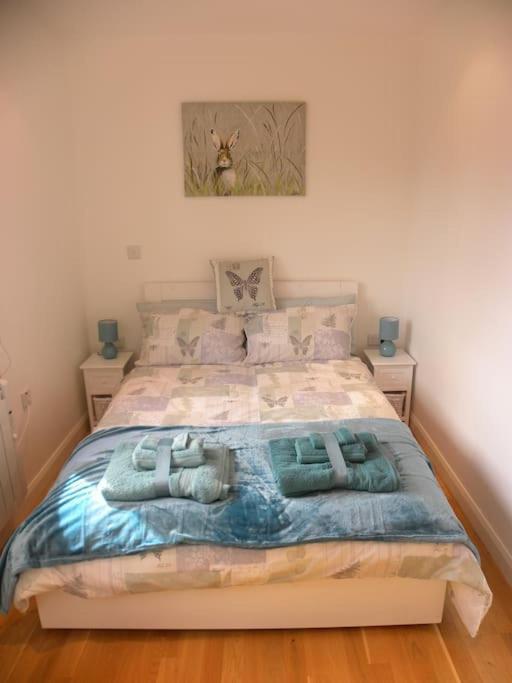 Saint Dominick Oakey Orchard - Cosy Apartment In Tamar Valley, Cornwall מראה חיצוני תמונה