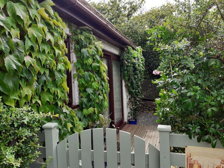 Saint Dominick Oakey Orchard - Cosy Apartment In Tamar Valley, Cornwall מראה חיצוני תמונה