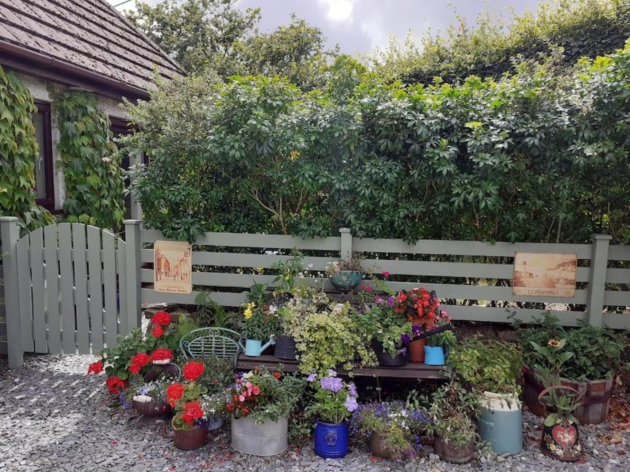 Saint Dominick Oakey Orchard - Cosy Apartment In Tamar Valley, Cornwall מראה חיצוני תמונה